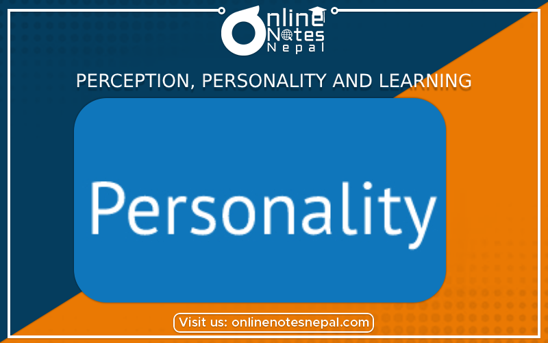 Perception, Personality, and Learning